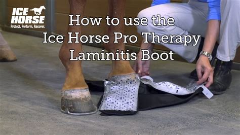 The Role of Magic Cushions in Preventing Laminitis in High-Risk Horses